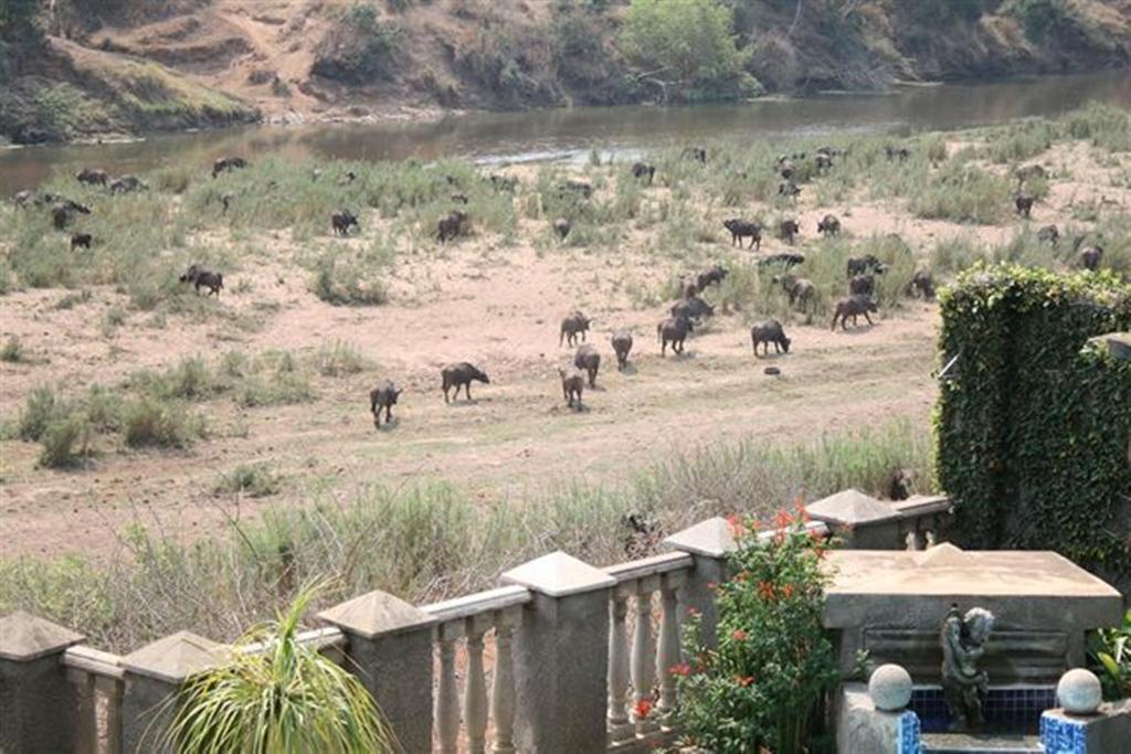 Belvedere-On-River Malalane Ngoại thất bức ảnh