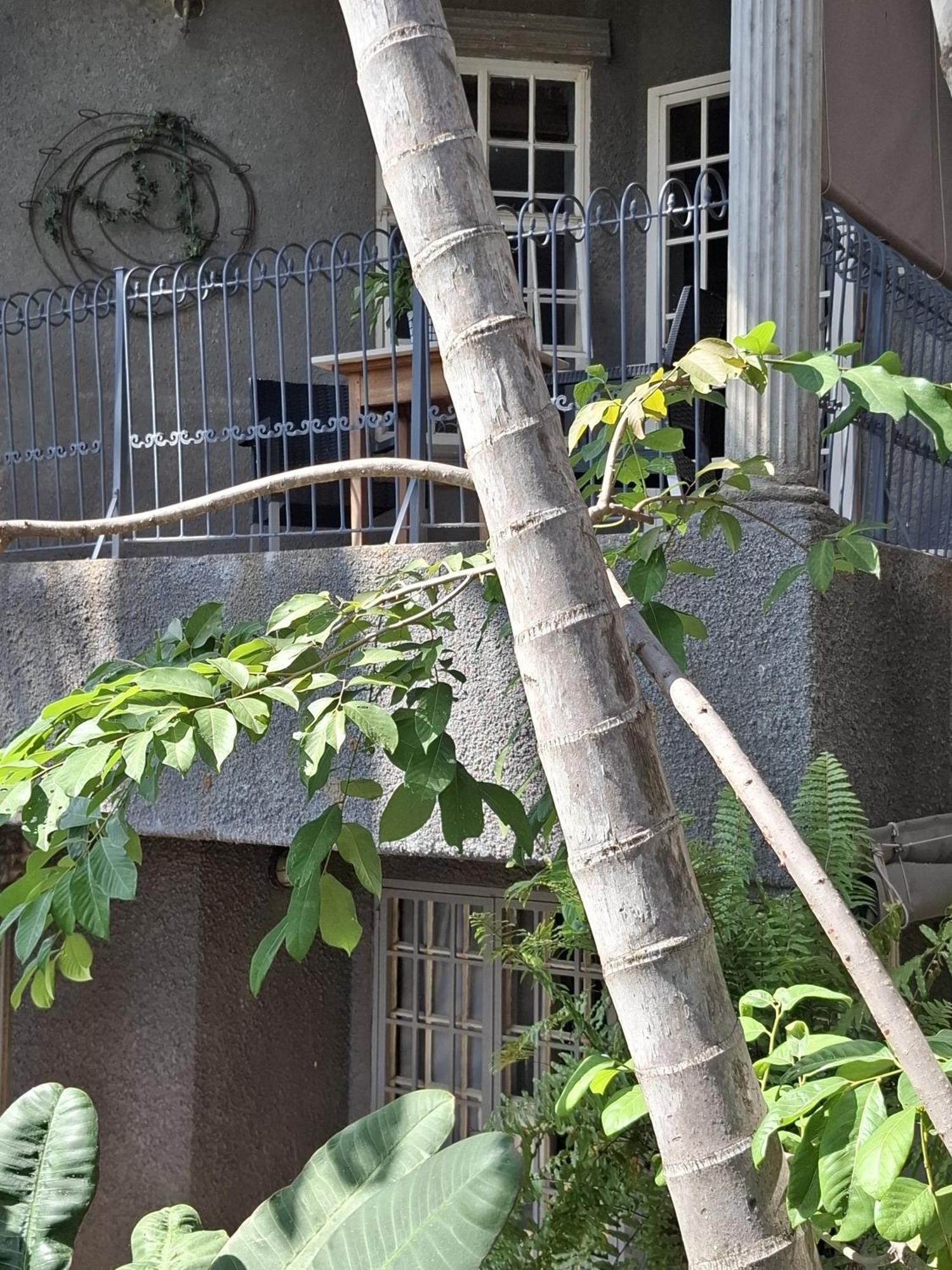 Belvedere-On-River Malalane Ngoại thất bức ảnh