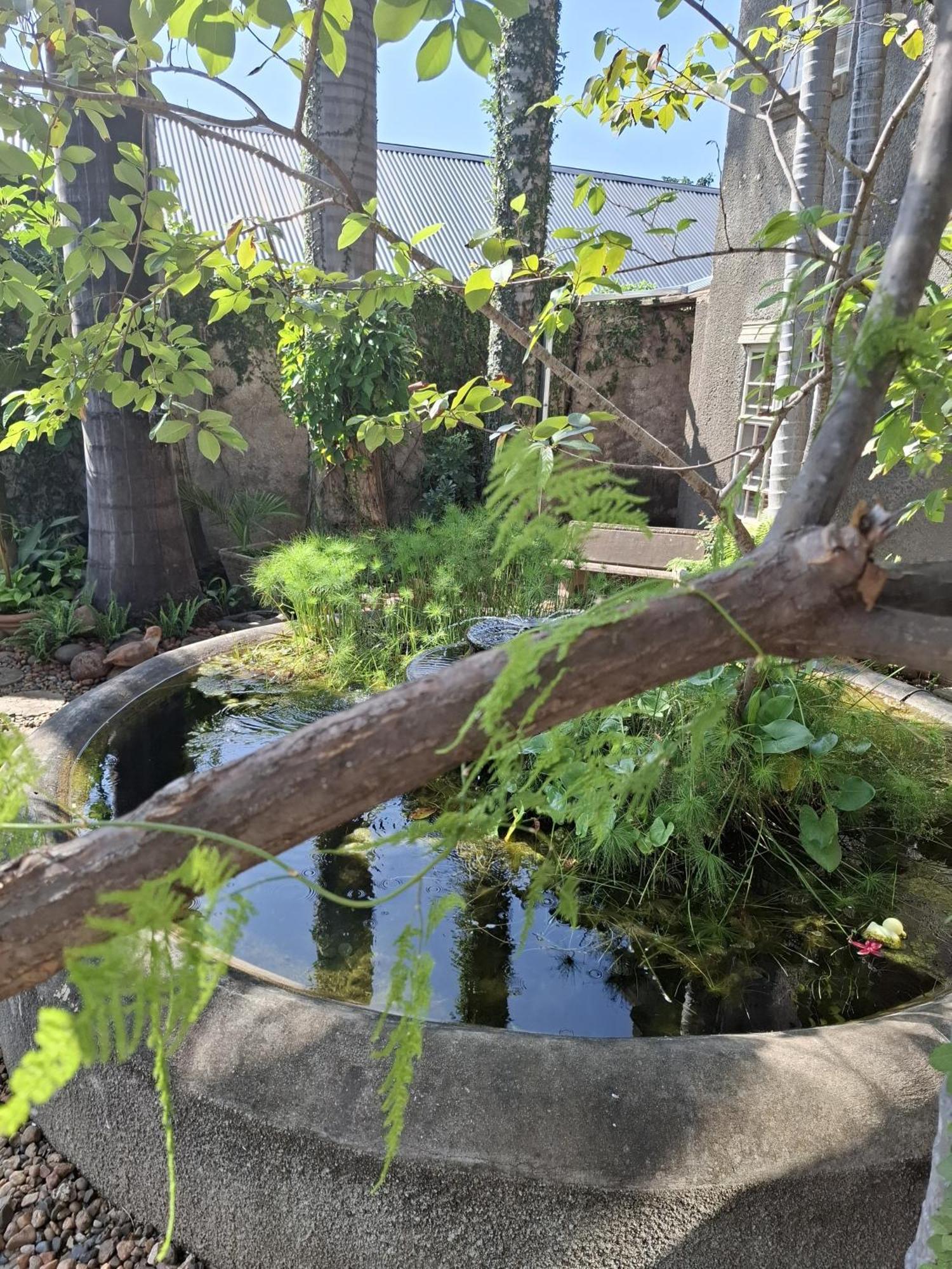 Belvedere-On-River Malalane Ngoại thất bức ảnh